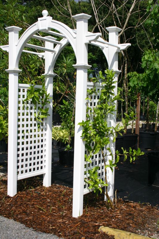 Arbor Installation