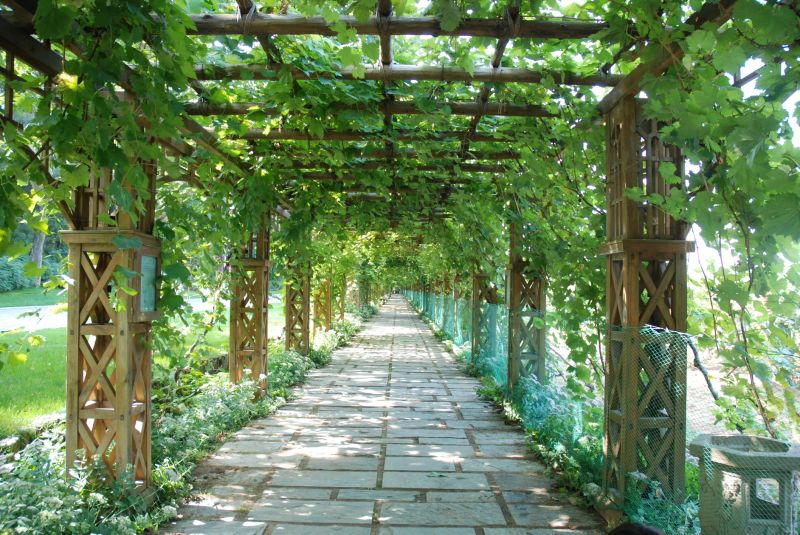Materials Used In Custom Commercial Arbor And Trellis Construction