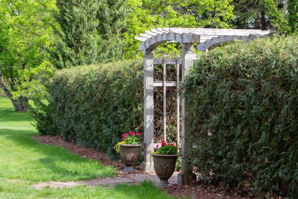 Arched Arbor Building